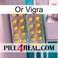 Gold Vigra new10